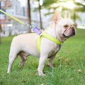 Vest-Style Drawstring Dog Leash