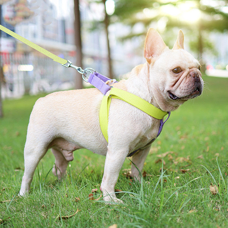 Vest-Style Drawstring Dog Leash