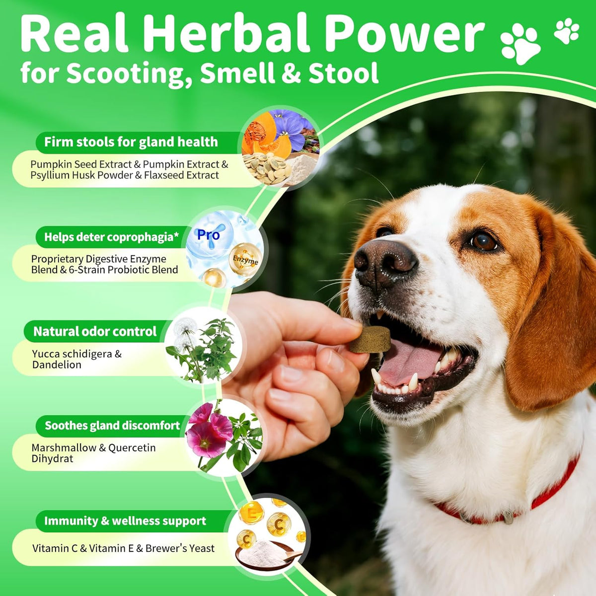 Dog Probiotics Digestive Enzymes,Pumpkin Fiber Chews For Gut Health, Constipation Upset Stomach Relief, Gas & Stool Support, Chicken Flavor