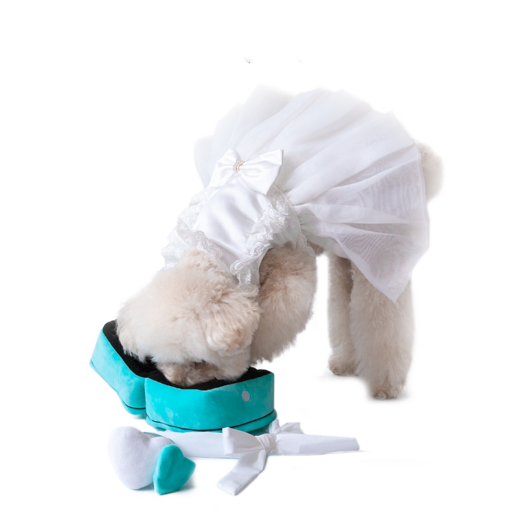 Pet Gift Ring To Relieve Boredom Sniff And Miss Food Plush Toy