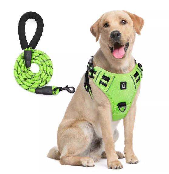 Dog Harness And Leash Combo With Escape Proof Design