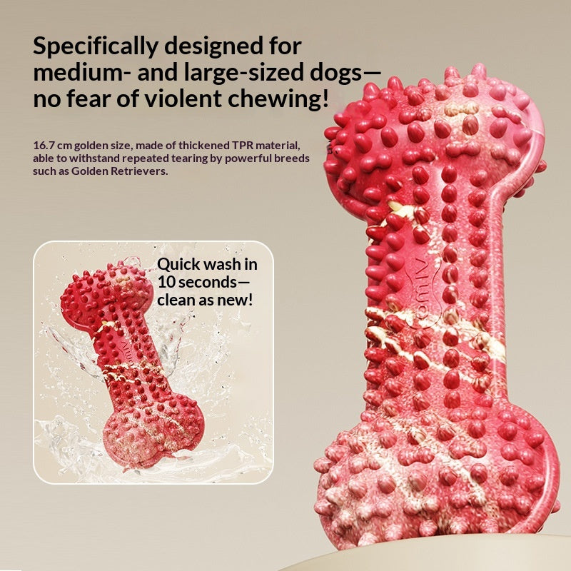 Bite-Resistant Bone Dog Chew Toys
