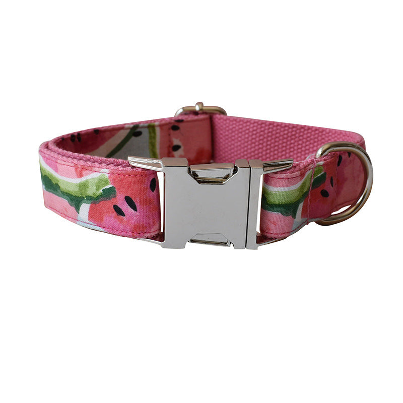 Dog Collar And Pet Leash