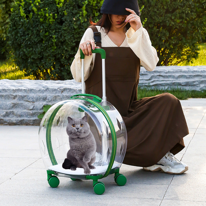 Pet Trolley Bag Portable Dog Out Transparent Trolley Bag Space Capsule