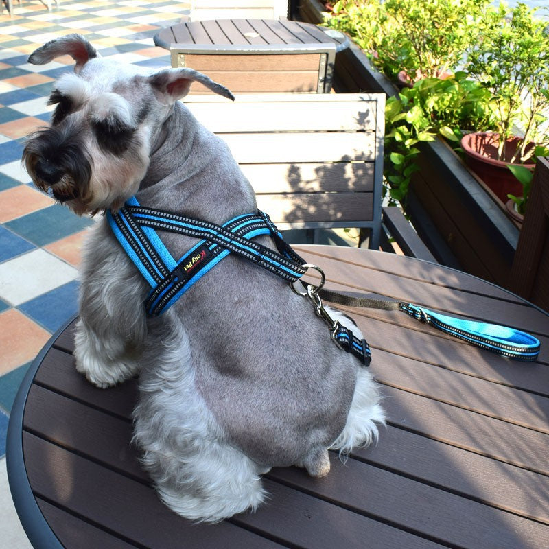 Vest-Style Dog Chest Harness