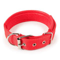 Adjustable Nylon Dog Collar