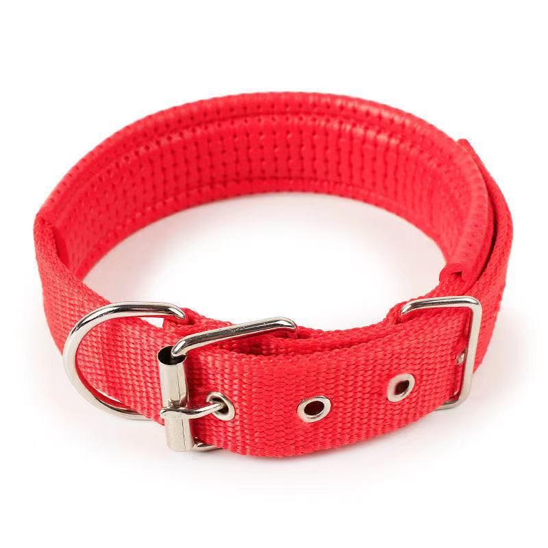Adjustable Nylon Dog Collar