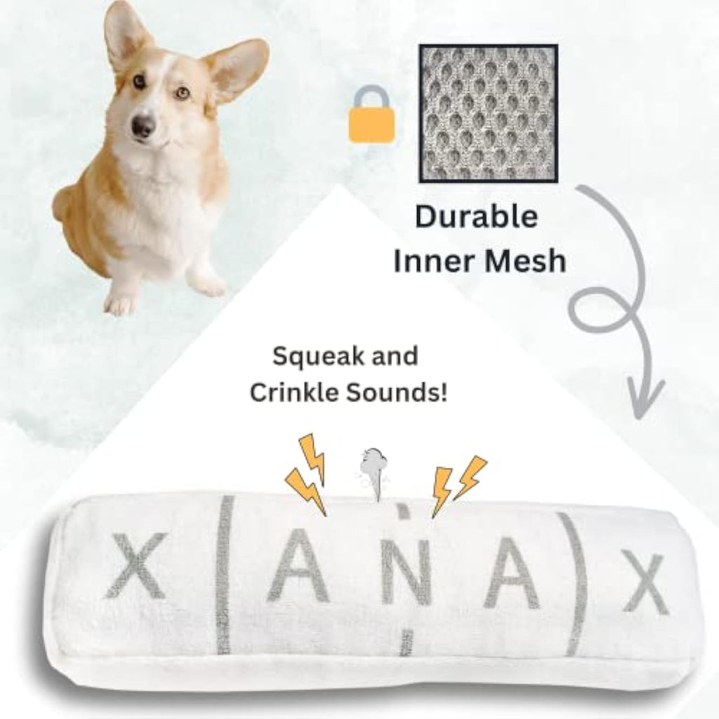 Funny Dog Toy Parody Plush Squeaky Crinkle Dog Toy