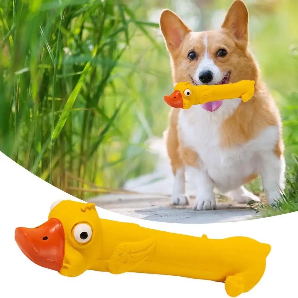 Squeaky Yellow Duck Dental Dog Toy
