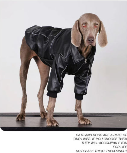 Autumn Black Leather Dog Jacket