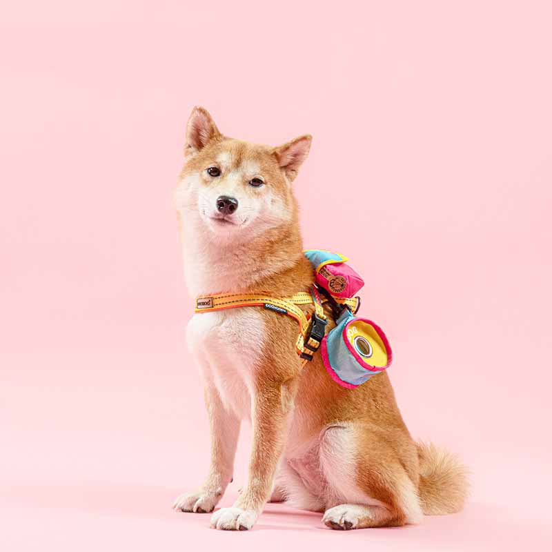 Portable Cute Pet Three-In-One Travel Bag