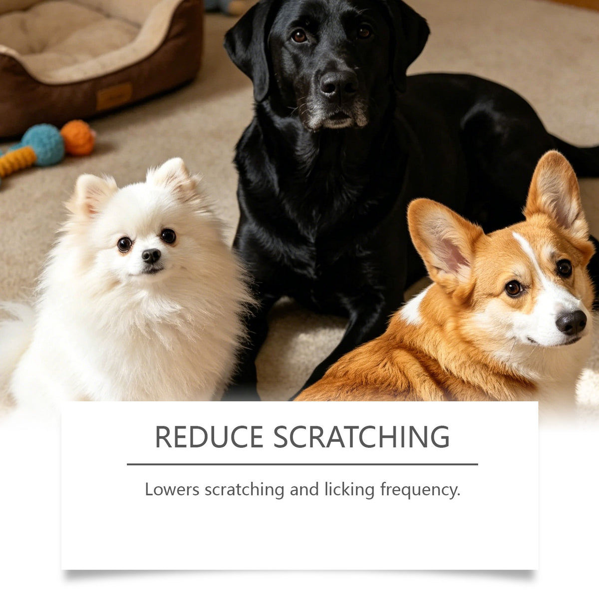 Mild Ingredient Dog Care Chewable Tablets