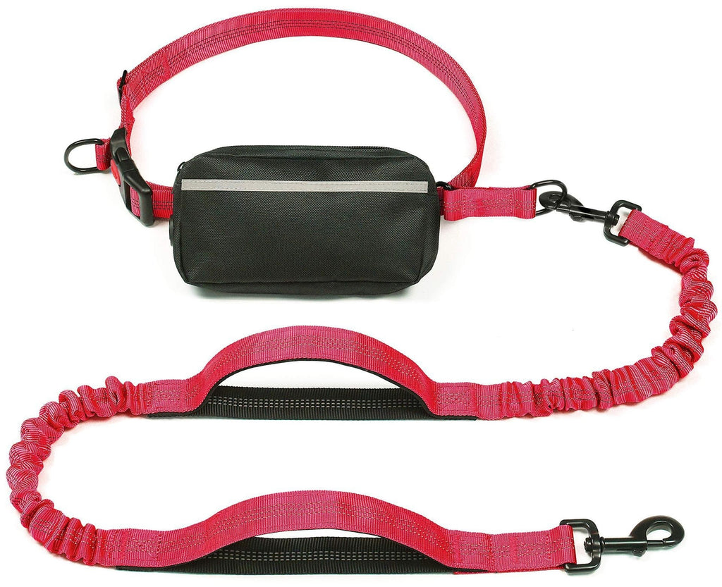 Multifunctional Dog Leash Waist Bag Pet Set