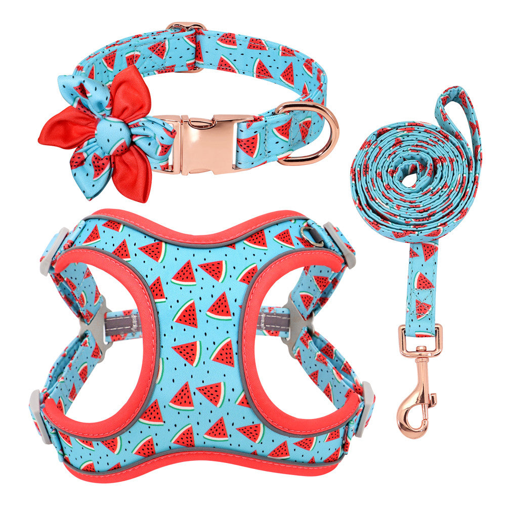 Dog Collar Leash And Strap Set