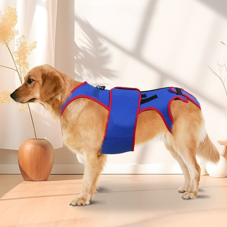 Dog Spine Support Anti-Hunch Jacket