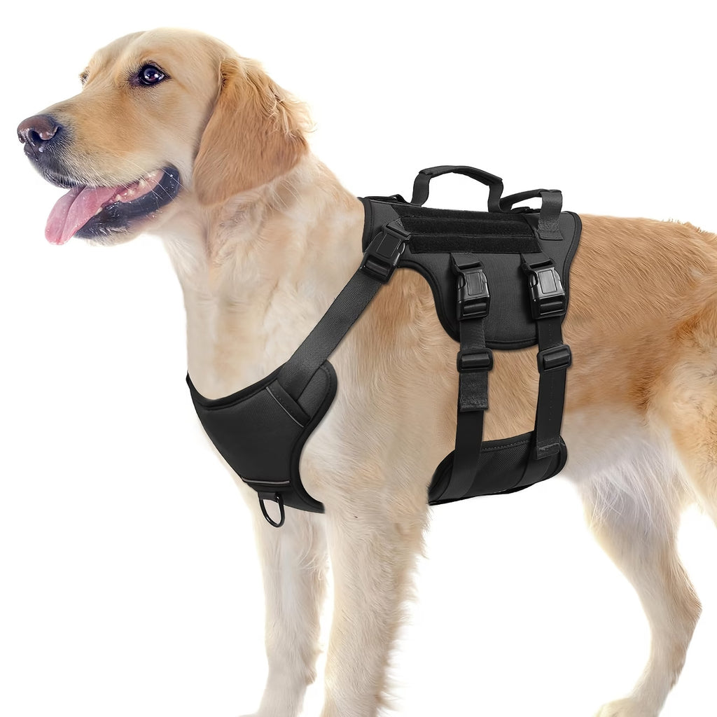 Pet Leash And Harness Option