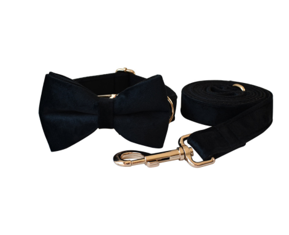 Double Layer Microfiber Rose Gold Buckle Collar Leash