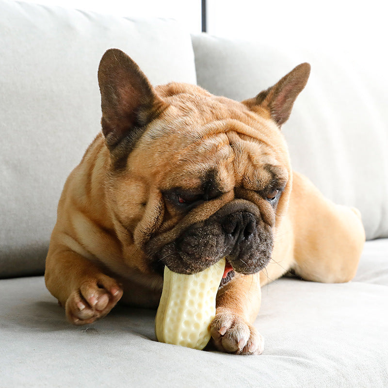 Peanut-Shaped Sounding Dog Toy