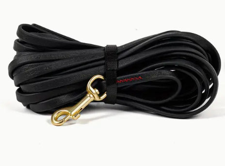 Thickened Anti-Breaking Dog Training Leash