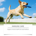 Dog Care Chewable Tablets For All Breeds