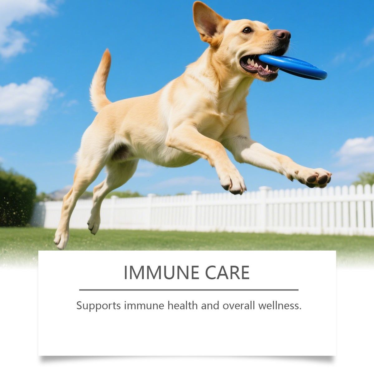 Dog Care Chewable Tablets For All Breeds