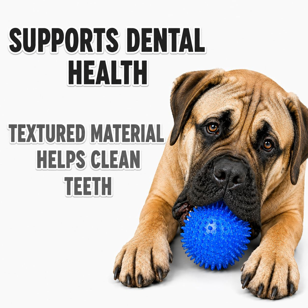 Dog Toy For Aggressive Chewers No Stuffing Crinkle Plush 3-In-1 Elephant , Durable Squeaky Bouncy Chew Ball Cleans Teeth, Power Chewer Puppy