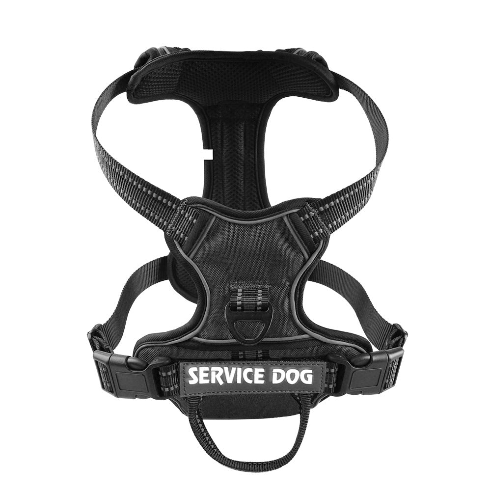 Personalized Oxford Dog Back Strap