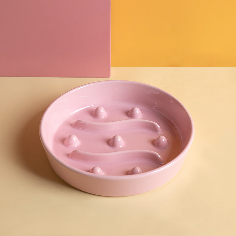 Ceramic Slow-Feeding Pet Bowl