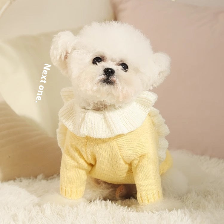 Autumn Dog Puppy Sweater