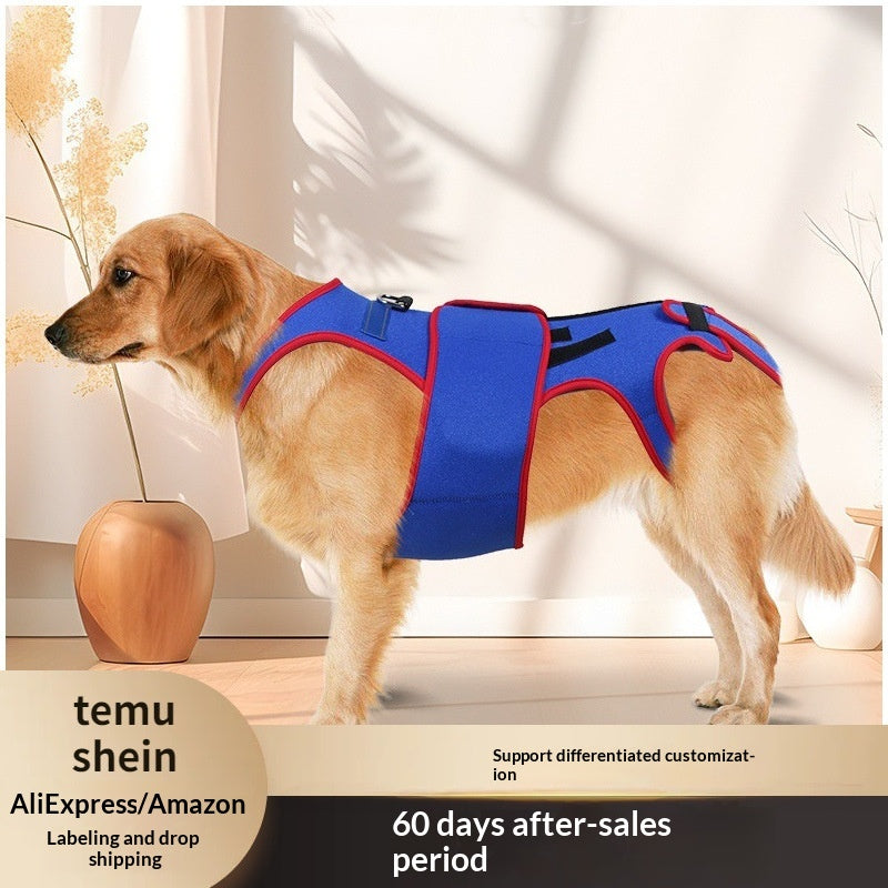 Dog Spine Support Anti-Hunch Jacket