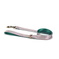 Pet Training Collar And Leash Set