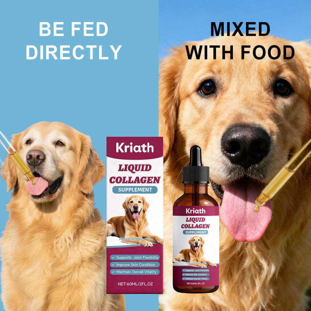 Collagen Drops For Dogs