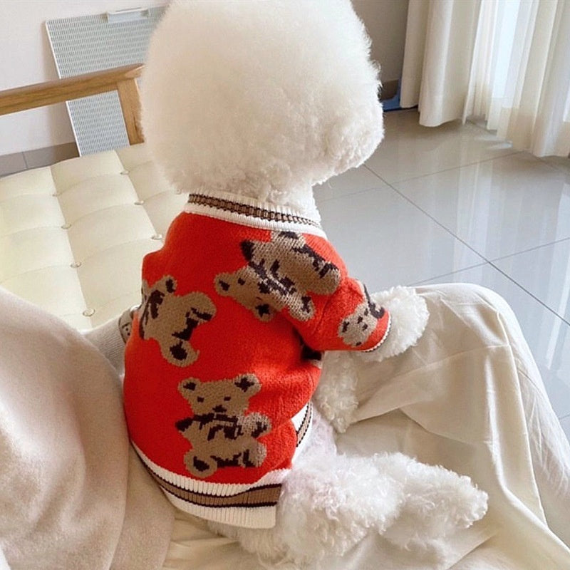 Knitted Sweater for Teddy Bichon Puppies