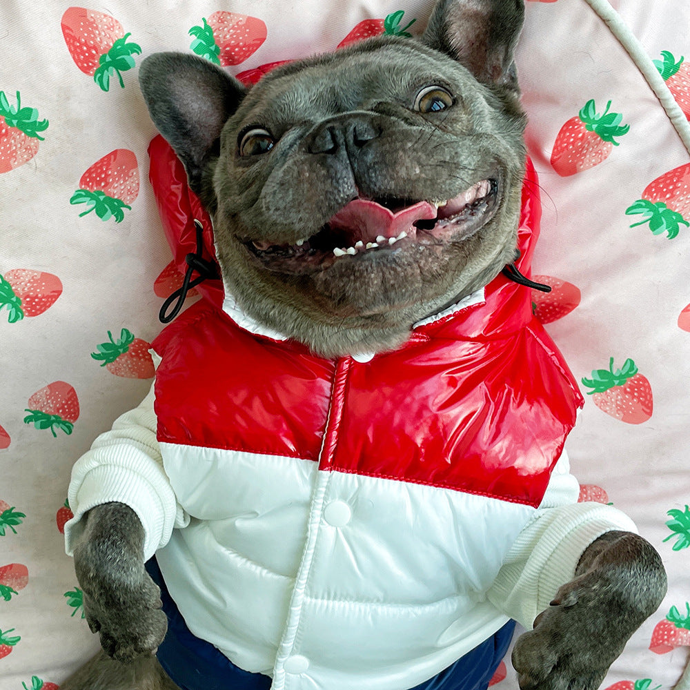Three-Color Cotton Dog Vest for Autumn and Winter