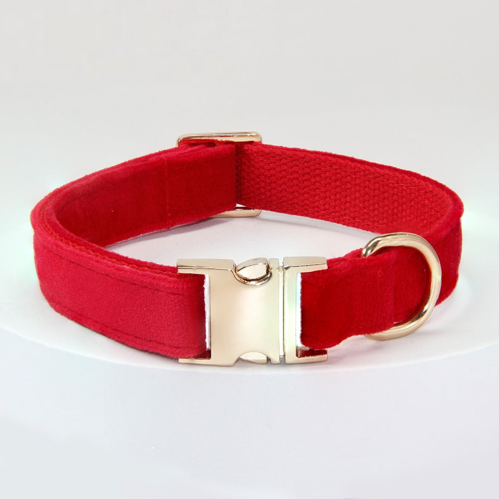 Engraved Anti-Loss Dog Collar And Leash