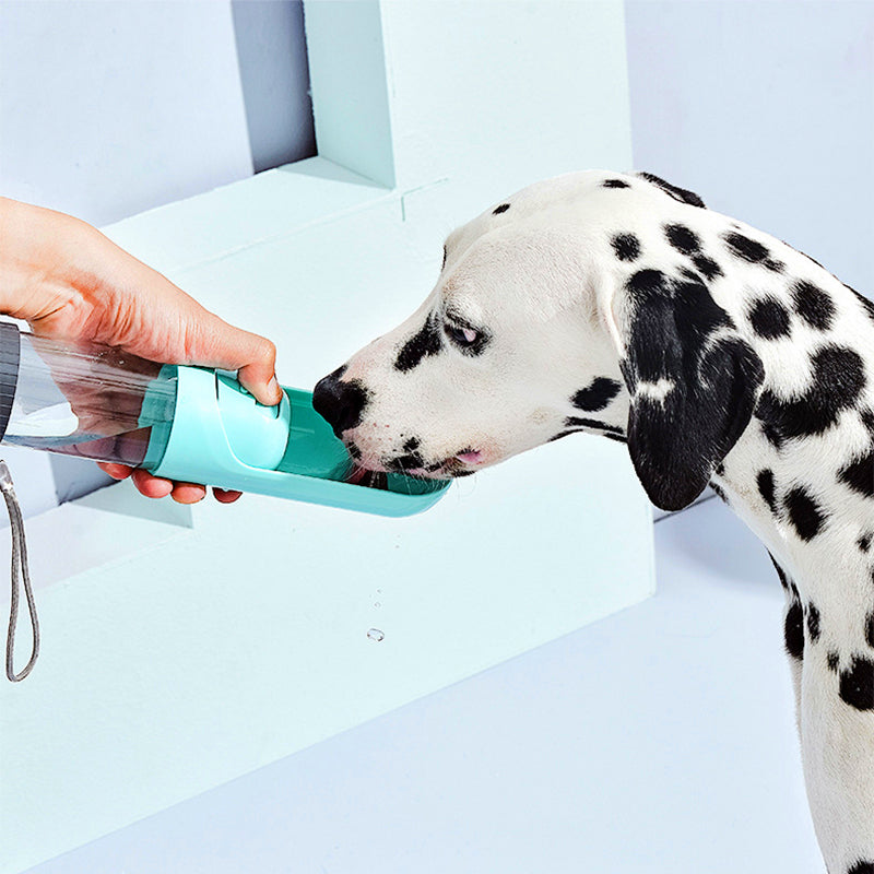 Portable Dog Water Bottle