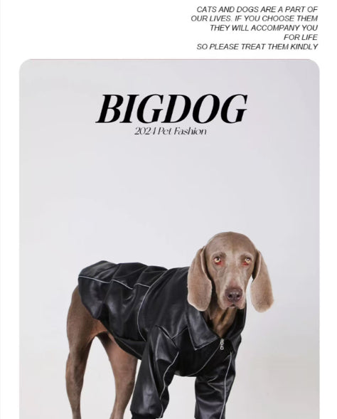 Autumn Black Leather Dog Jacket