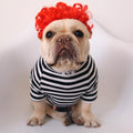 Creative Funny Dog Wig Headgear
