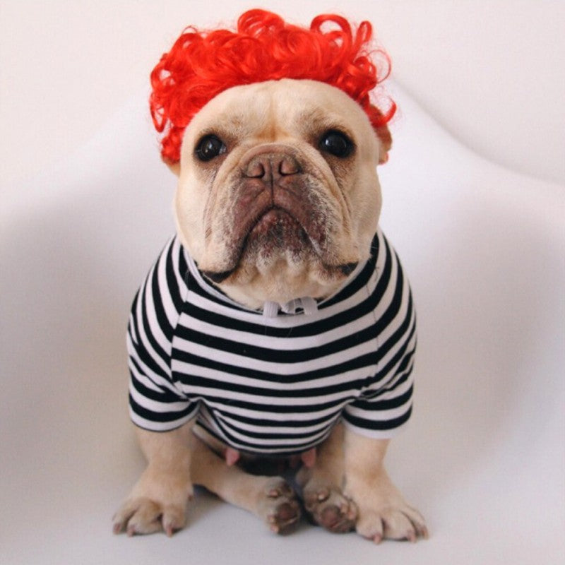 Creative Funny Dog Wig Headgear