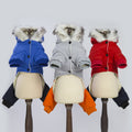 Dog Snow Coat For Pets