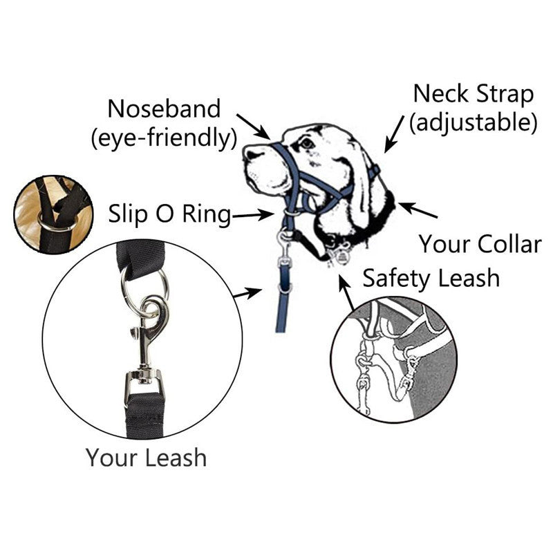 Adjustable Anti-Bite Mask Pet Traction Suit Mouth Cover