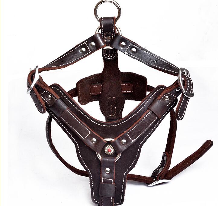 Oil Leather Dog Harness