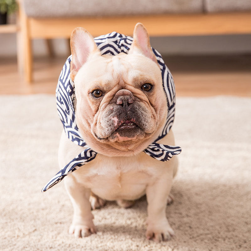 Sell Cute Pillow Scarf Pet