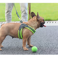 Reflective Leash For Dog