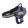 Multicolor Personalized Pet Chest Strap