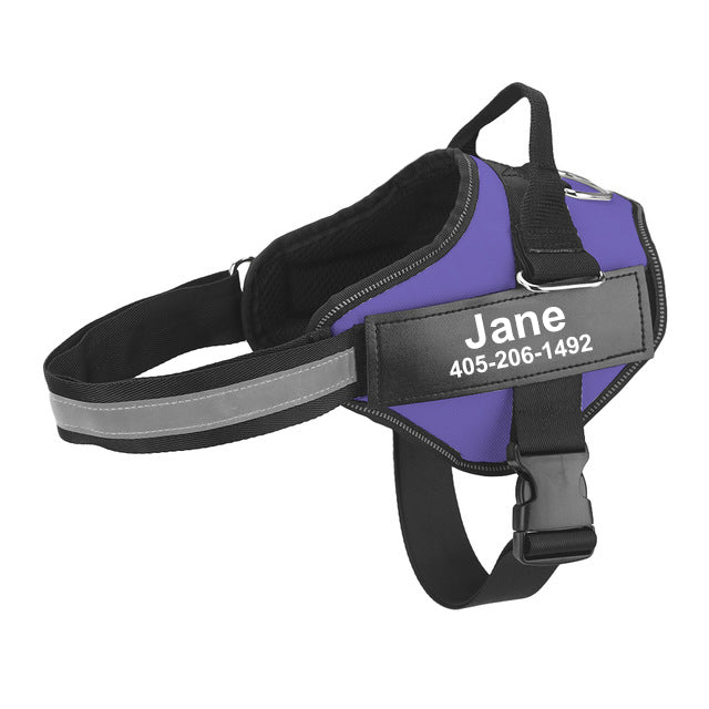 Multicolor Personalized Pet Chest Strap