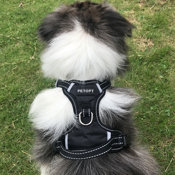 Medium And Large Dog Vest Type Dog Rope