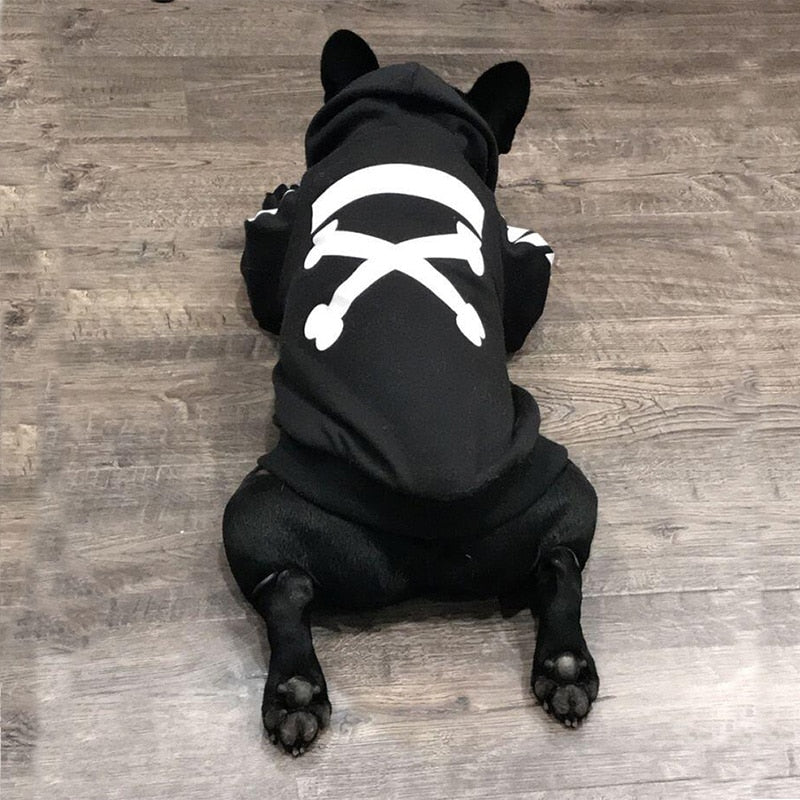 Winter Dog Jacket With Hood
