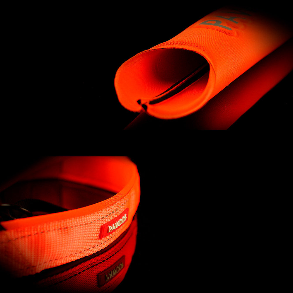 Leash On Dog Chest Strap