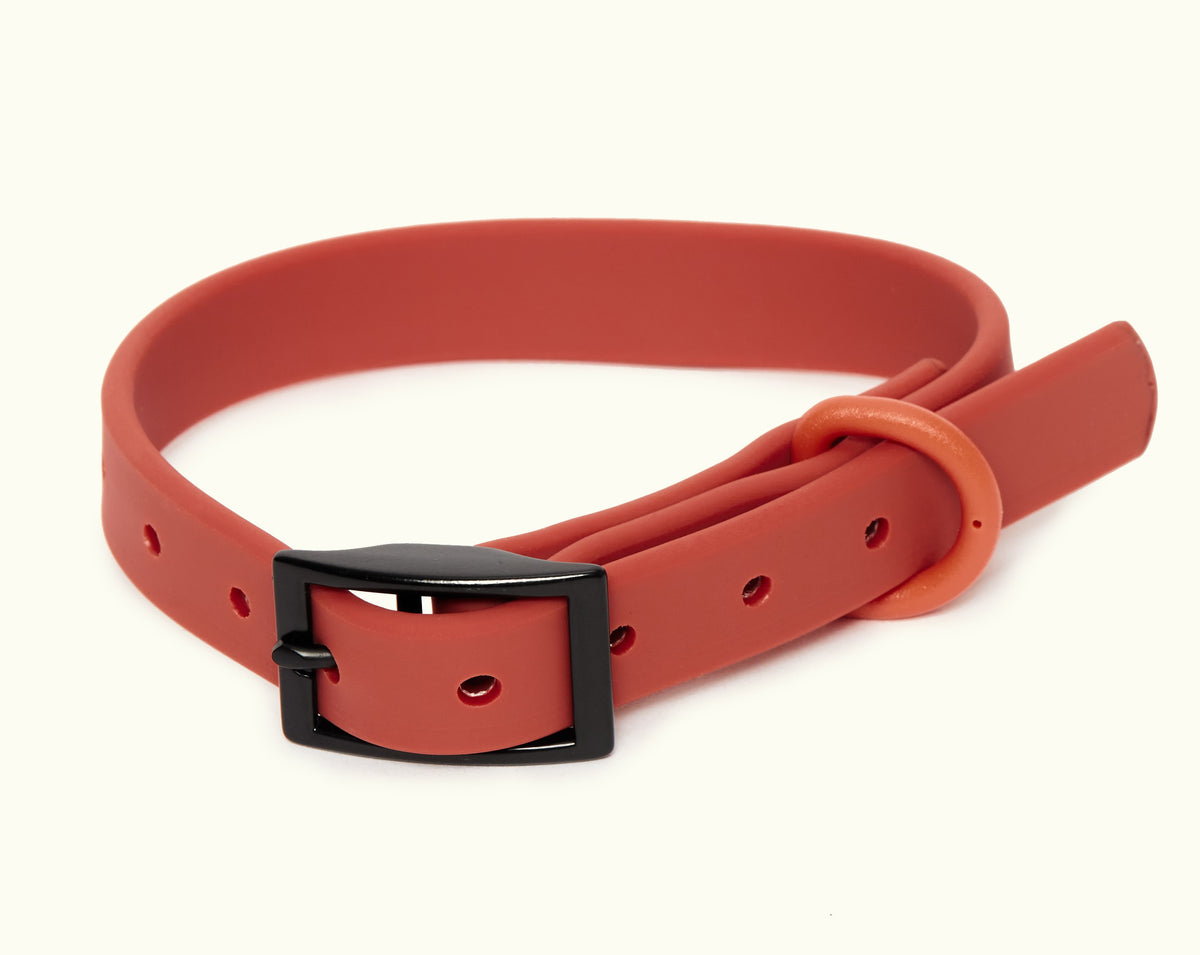 Skin Friendly Waterproof And Antifouling Pet Traction Rope